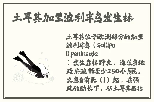 精品麻豆